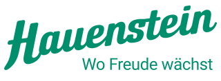 Präsidialperson des Verwaltungsrats  der Hauenstein AG